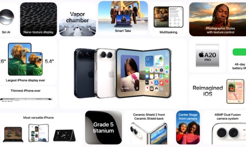 柠檬薄荷草图片-柠檬草薄荷糖功能主治网 - 柠檬薄荷水的功效与作用,柠檬薄荷糖的功效